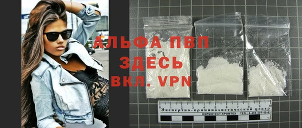 мет Алексин