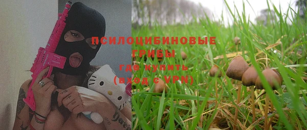 дурь Алексеевка