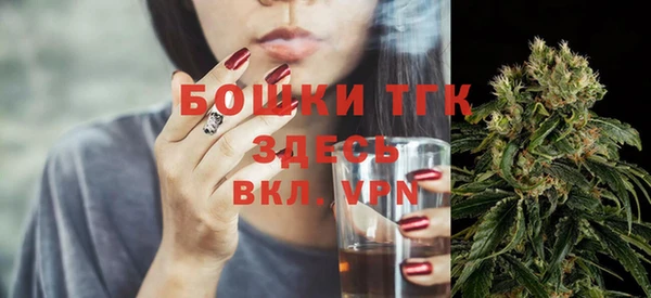 мет Алексин