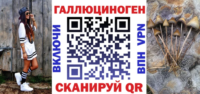 маркетплейс состав  наркошоп  Новоуральск  Галлюциногенные грибы Psilocybine cubensis 